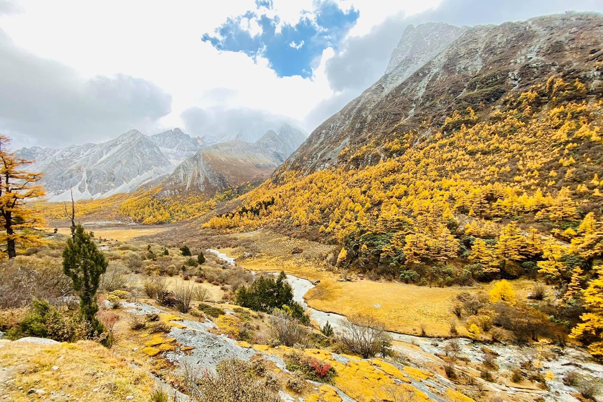 Canh sac tren cung duong mua thu noi tieng Trung Quoc hinh anh