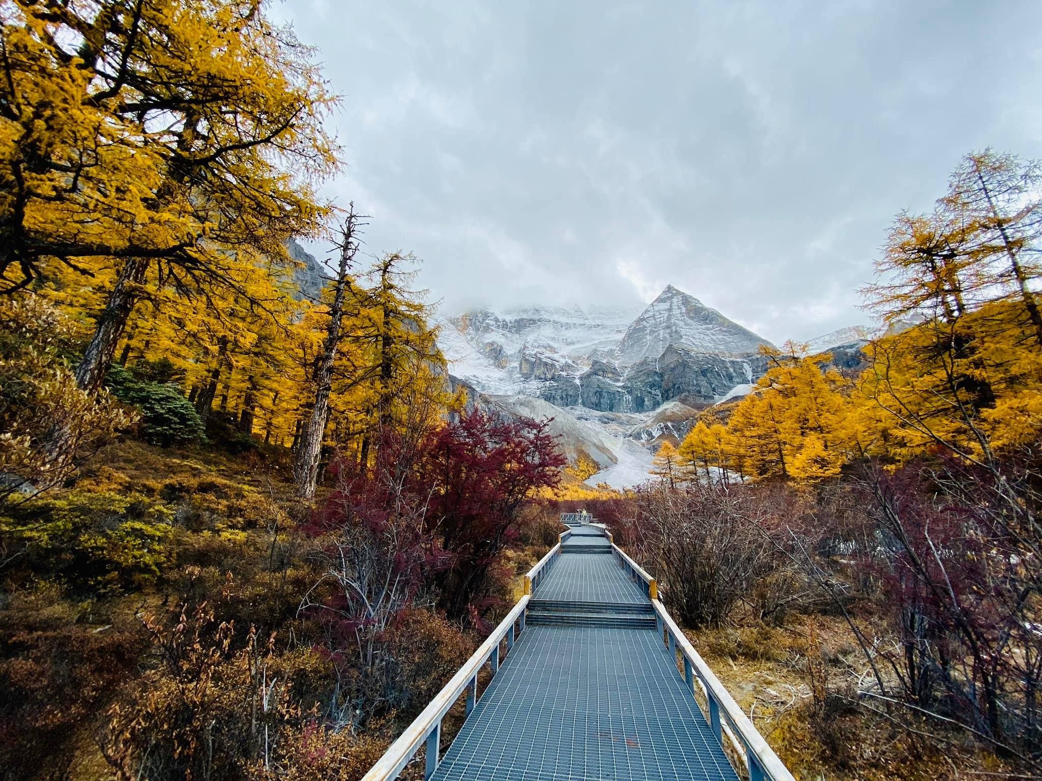 Mua thu Trung Quoc anh 3