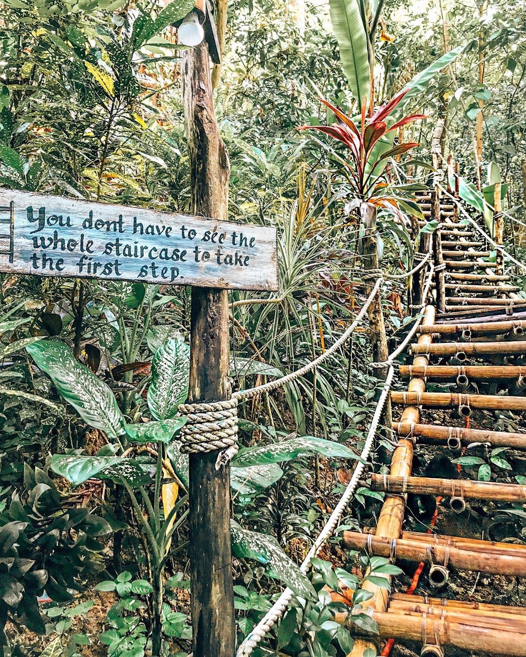 Khach san tren ngon cay anh 1