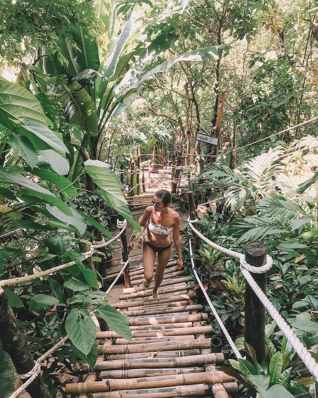 Khach san tren ngon cay anh 4