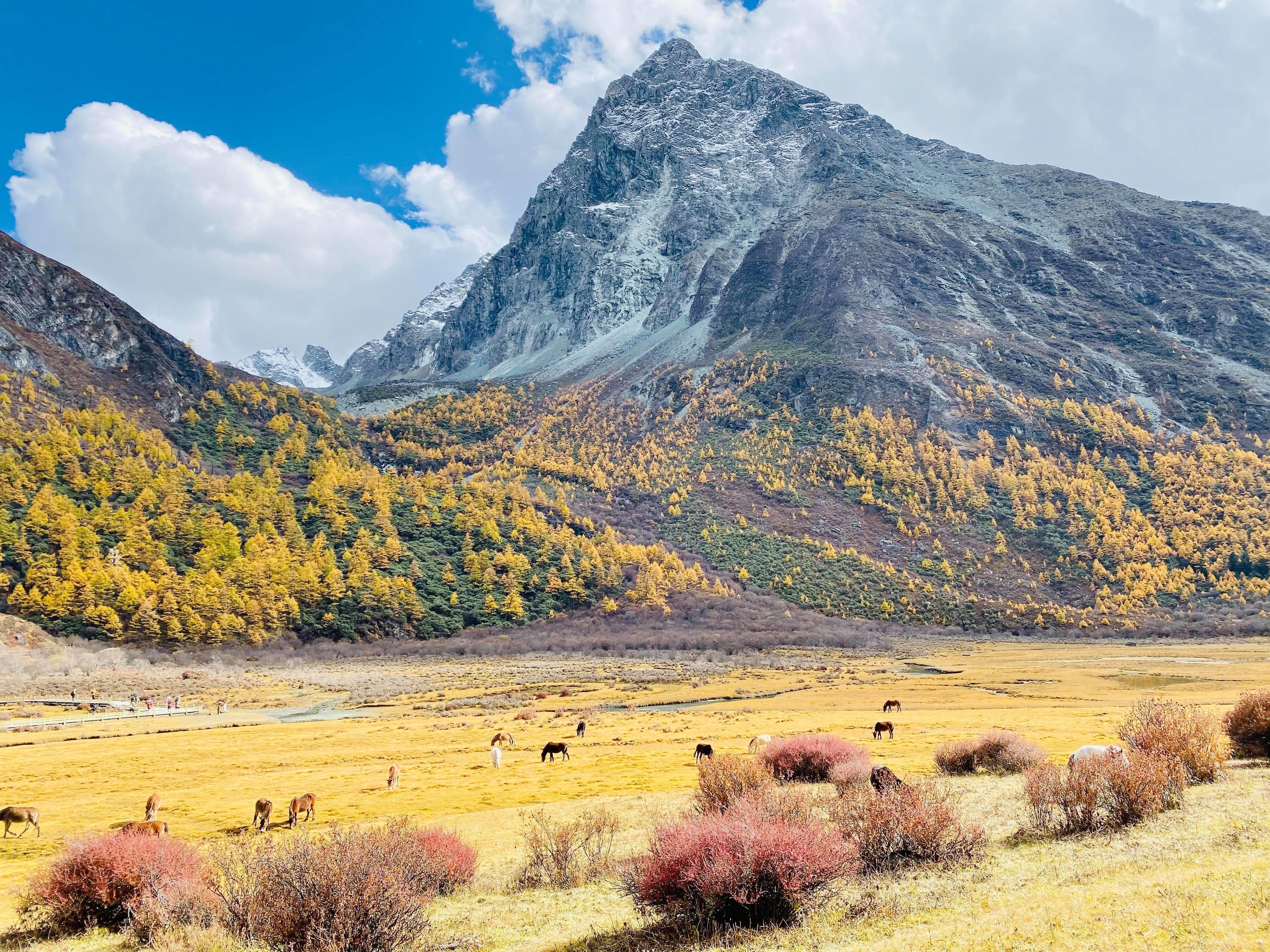 Nui rung vao thu dep nhu tien canh thu hut du khach toi Trung Quoc hinh anh