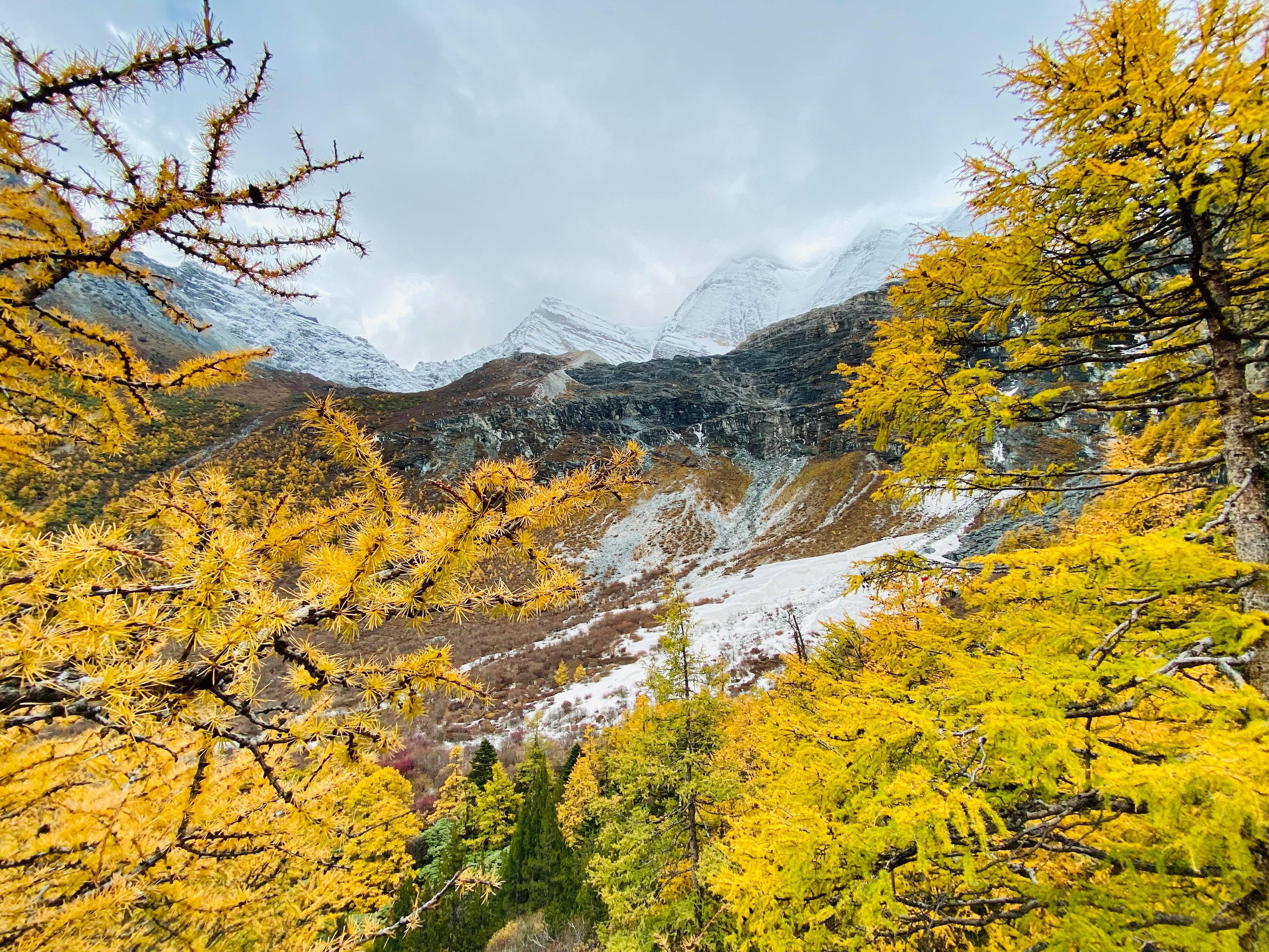 Mua thu Trung Quoc anh 1