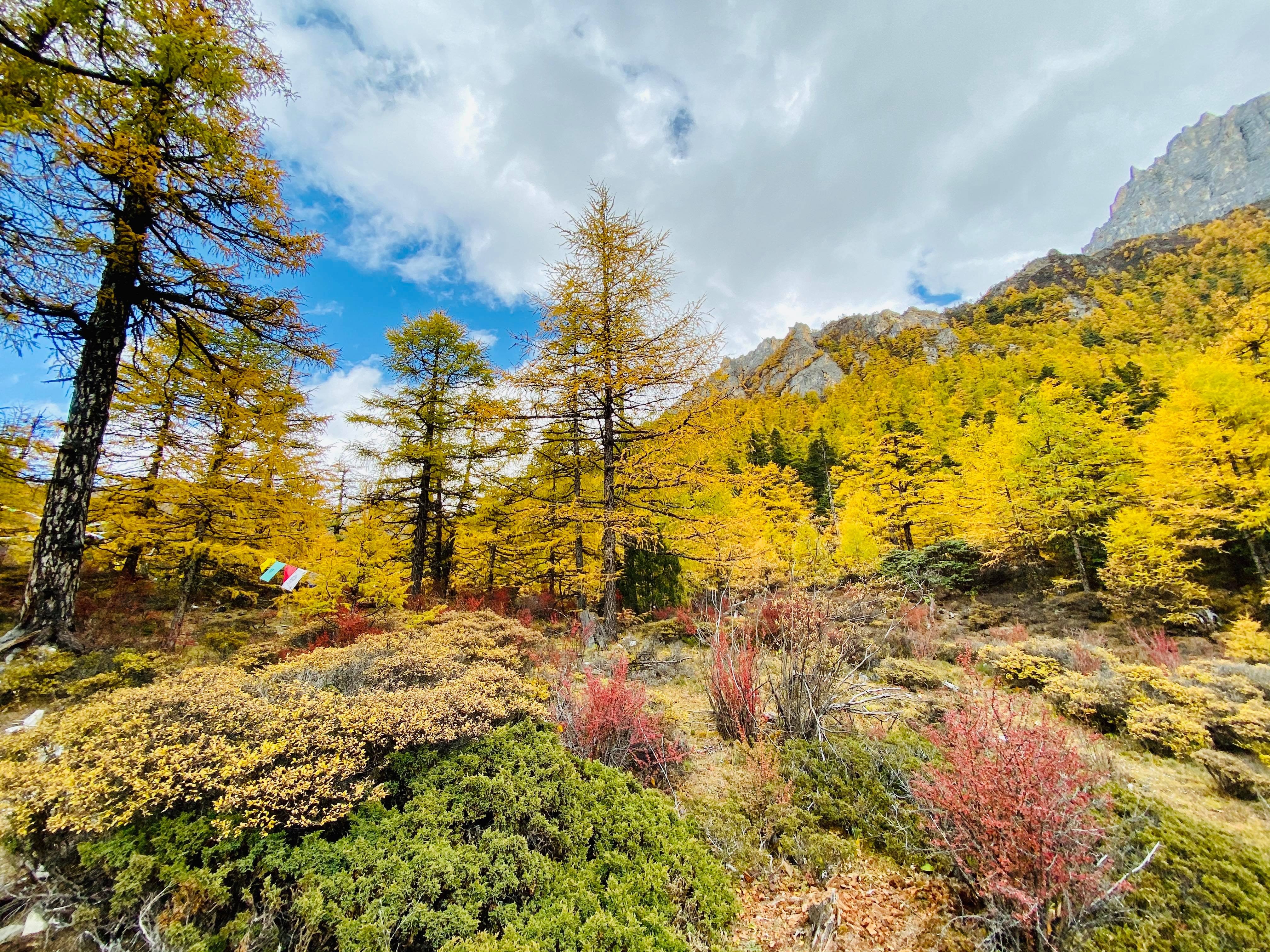 Mua thu Trung Quoc anh 5