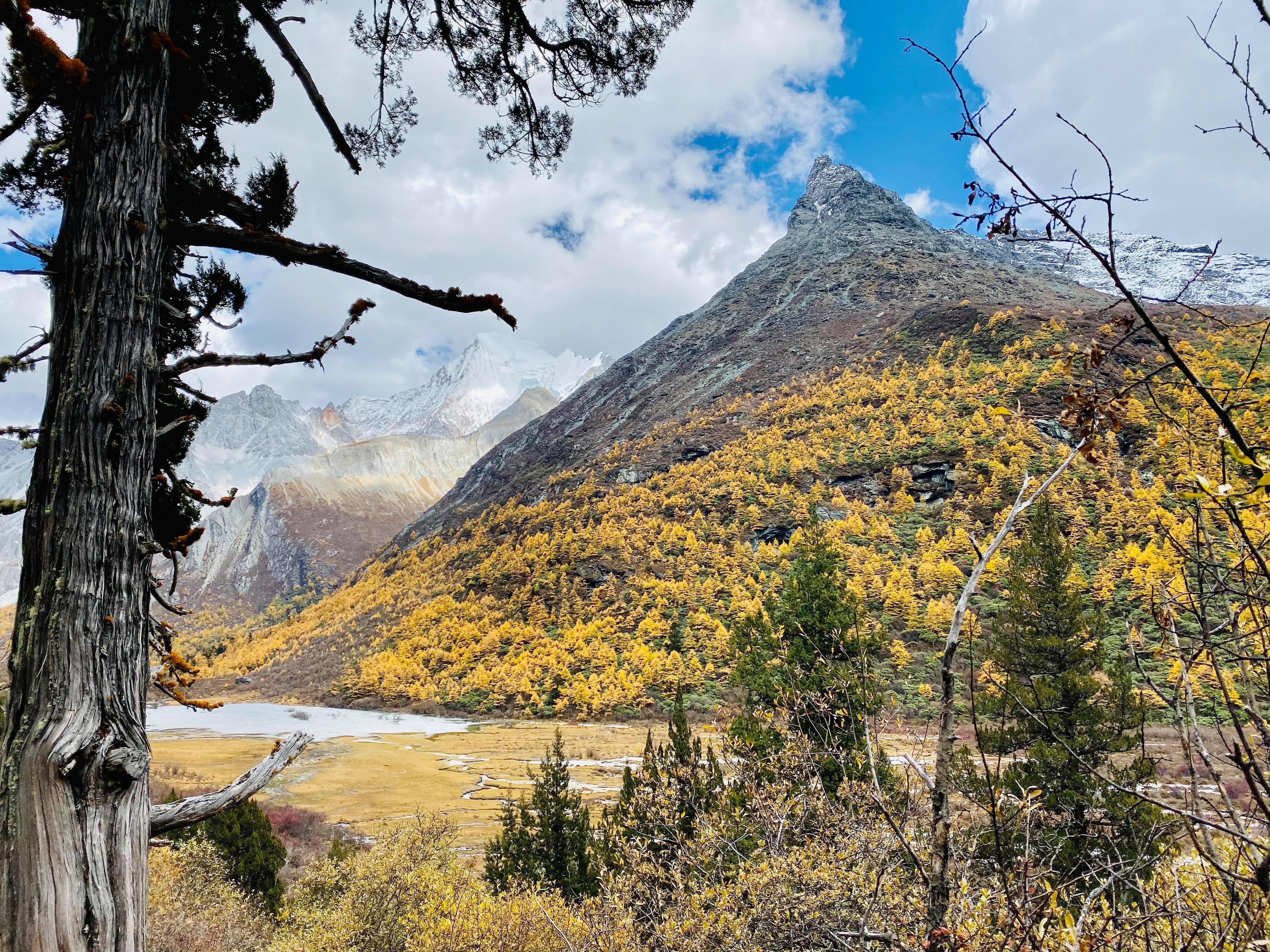 Mua thu Trung Quoc anh 23