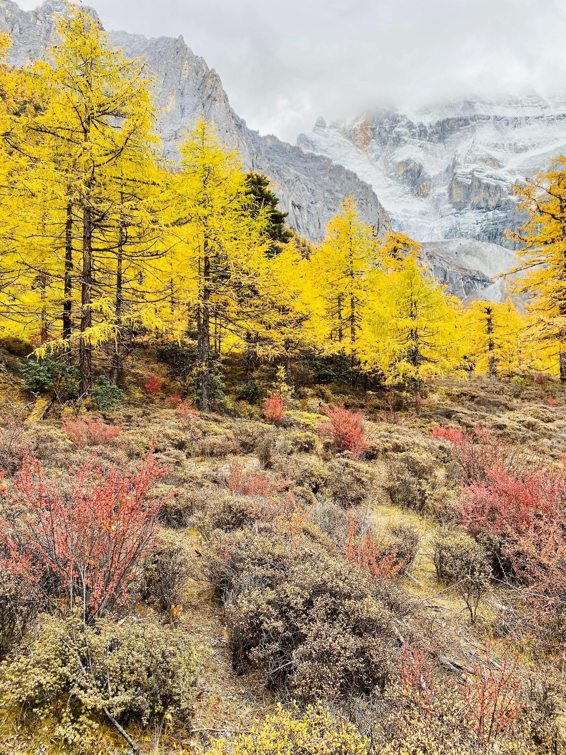 Mua thu Trung Quoc anh 3