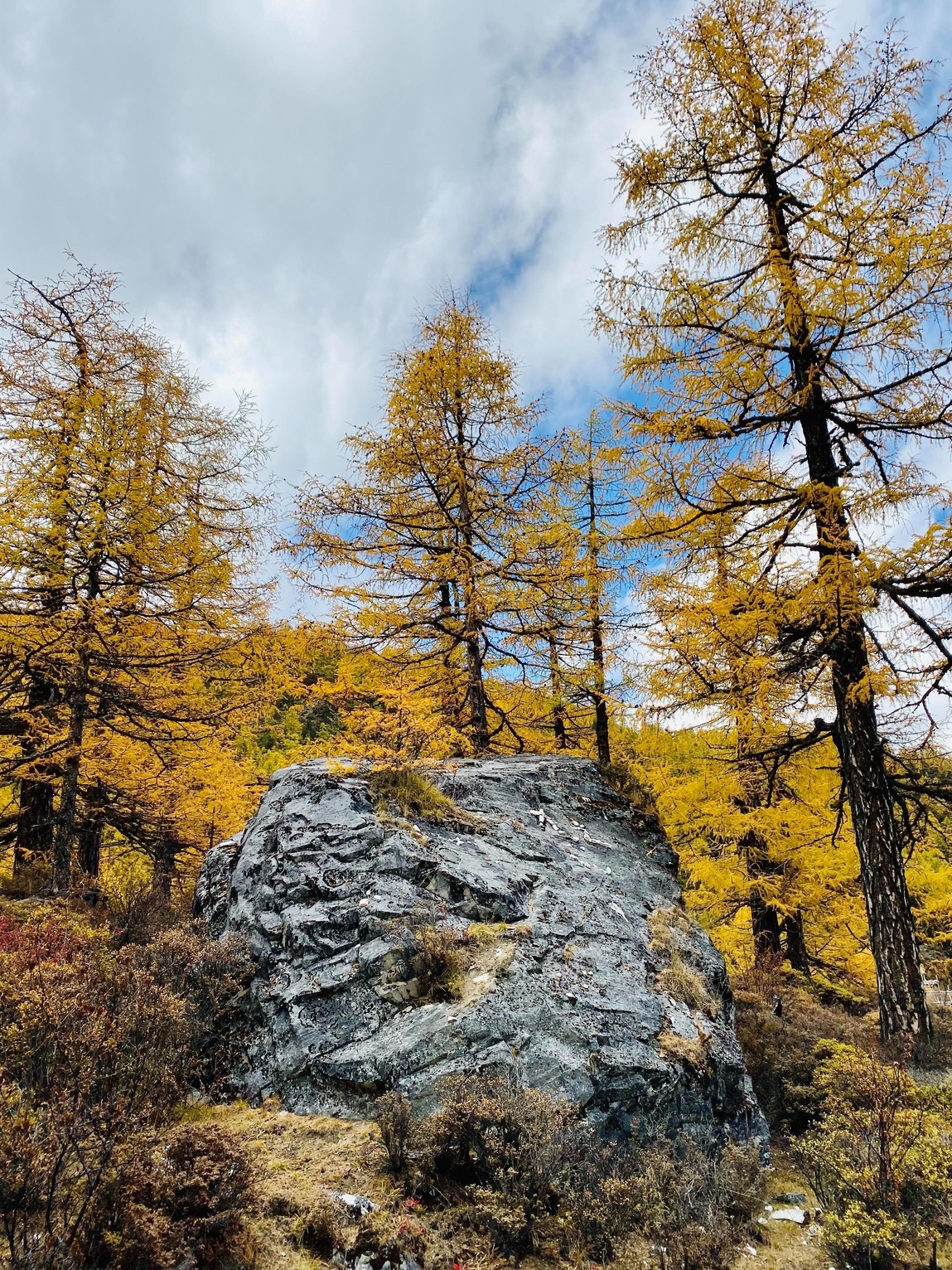 Mua thu Trung Quoc anh 4