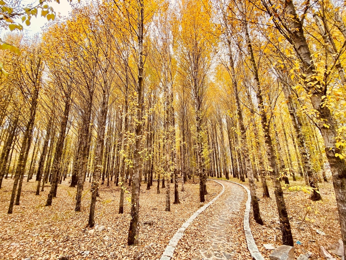 Mua thu Trung Quoc anh 13