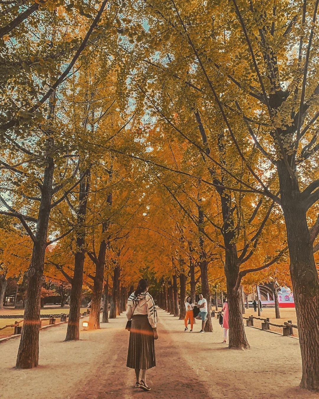 Du lich Han Quoc anh 7