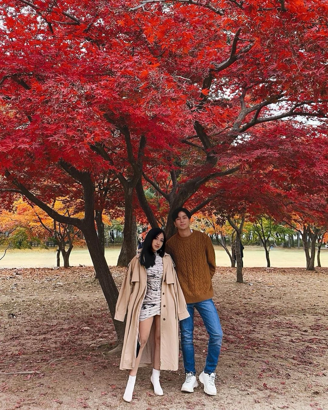 Du lich Han Quoc anh 8