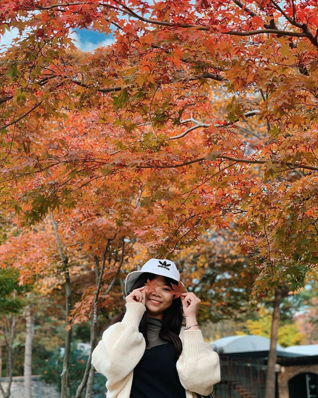 Du lich Han Quoc anh 6