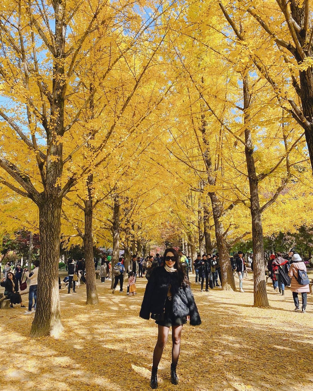 Du lich Han Quoc anh 9