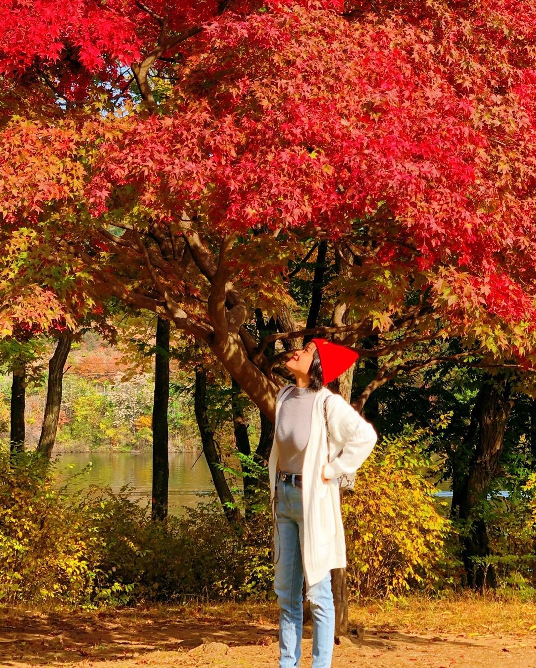 Du lich Han Quoc anh 3