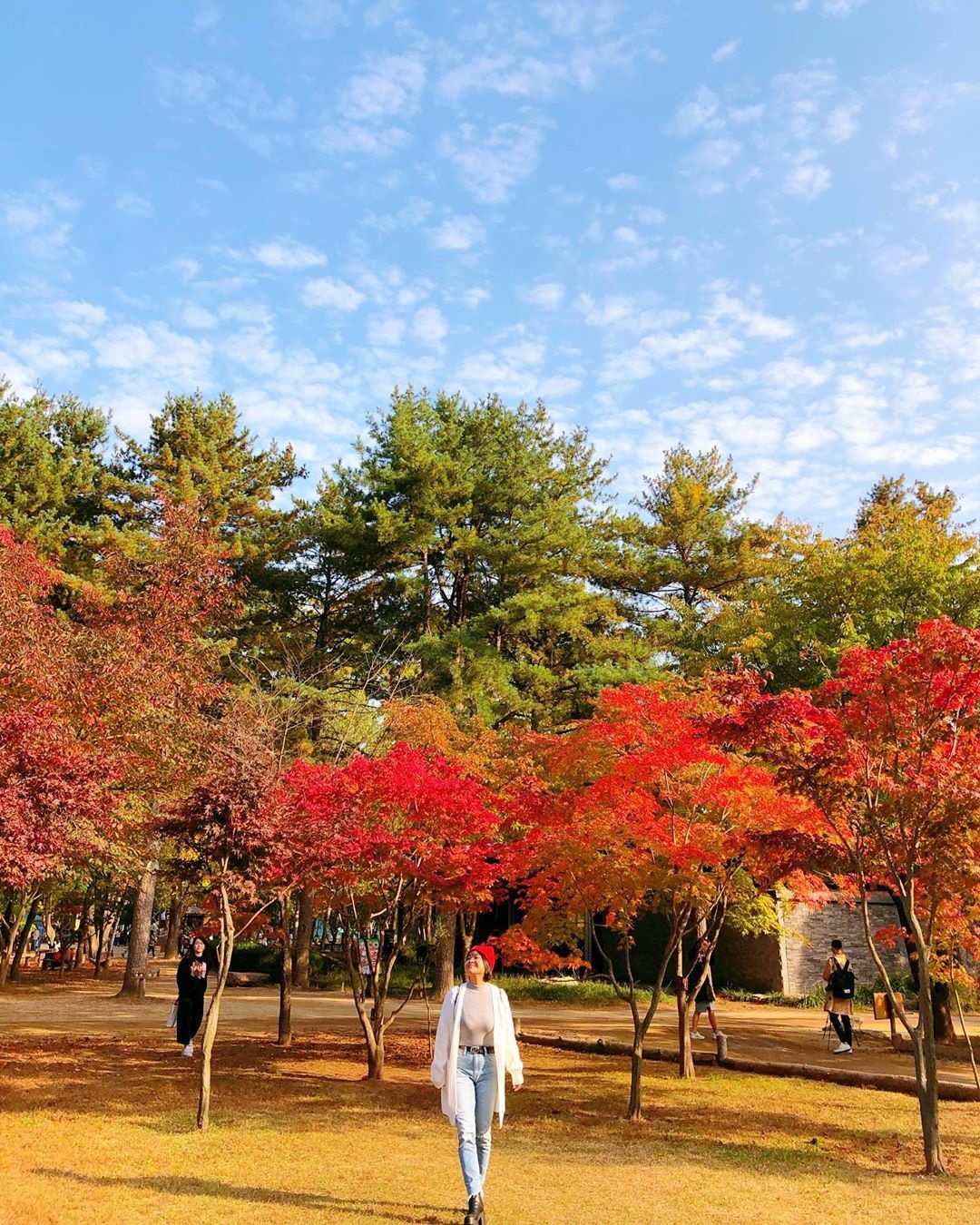 Du lich Han Quoc anh 10