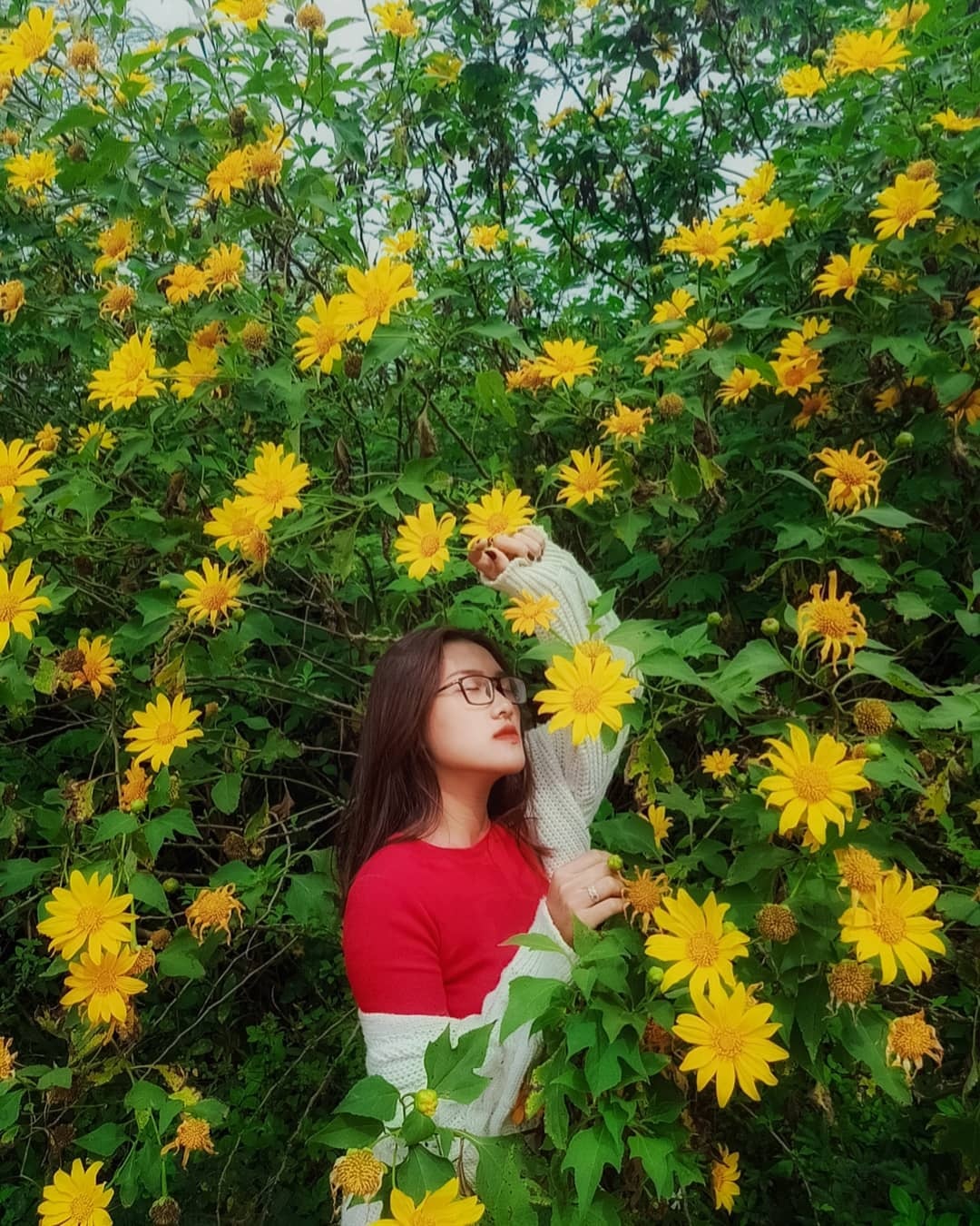 Du lich Da Lat anh 8