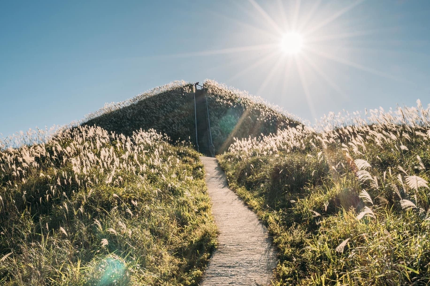 Co lau no trang troi o Van Ly Truong Thanh phien ban Viet hinh anh