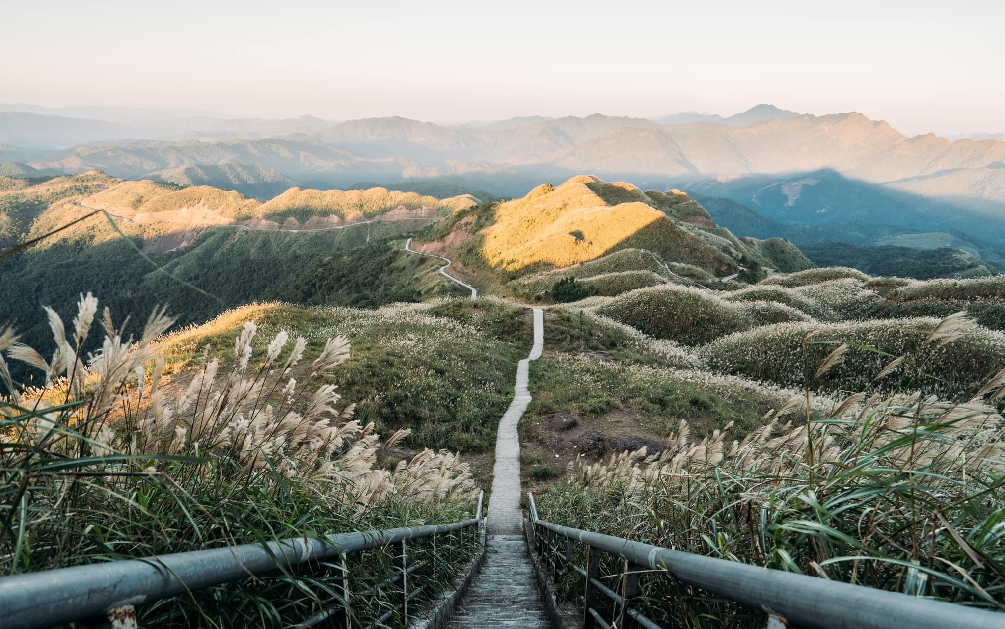 Cánh đồng cỏ lau ảnh 3 Canh dong co lau anh 3