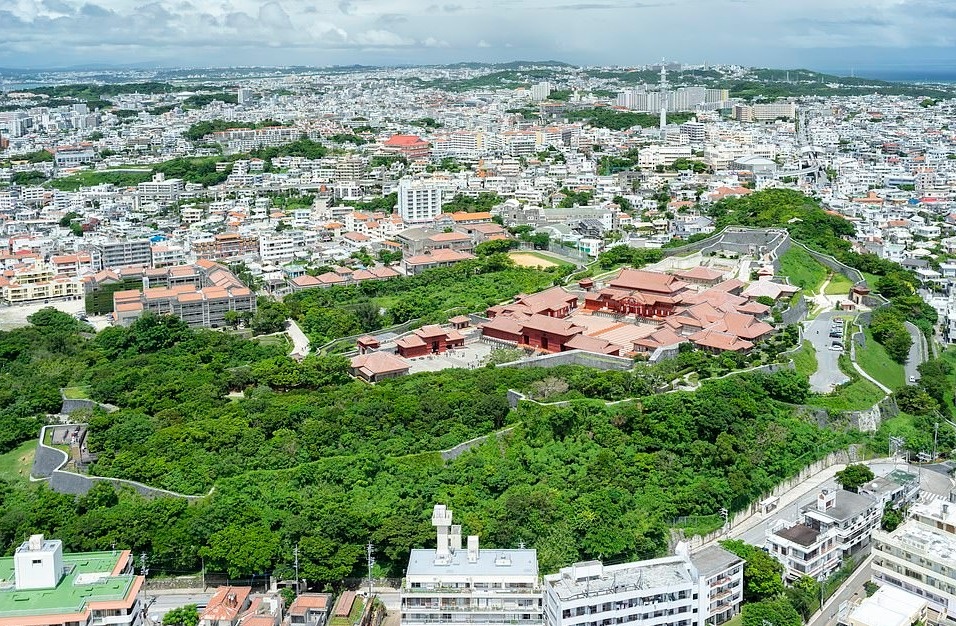 Lau dai co bi chay o Nhat anh 3