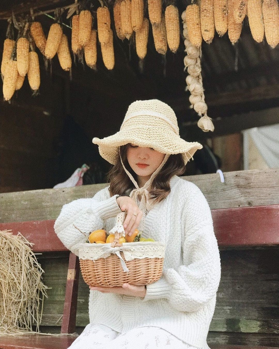 Vuon hong Da Lat anh 3