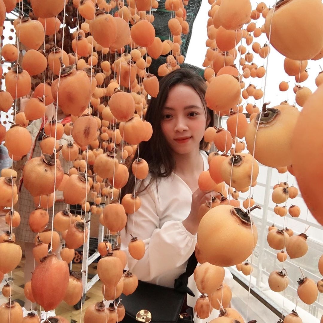 Vuon hong Da Lat anh 5