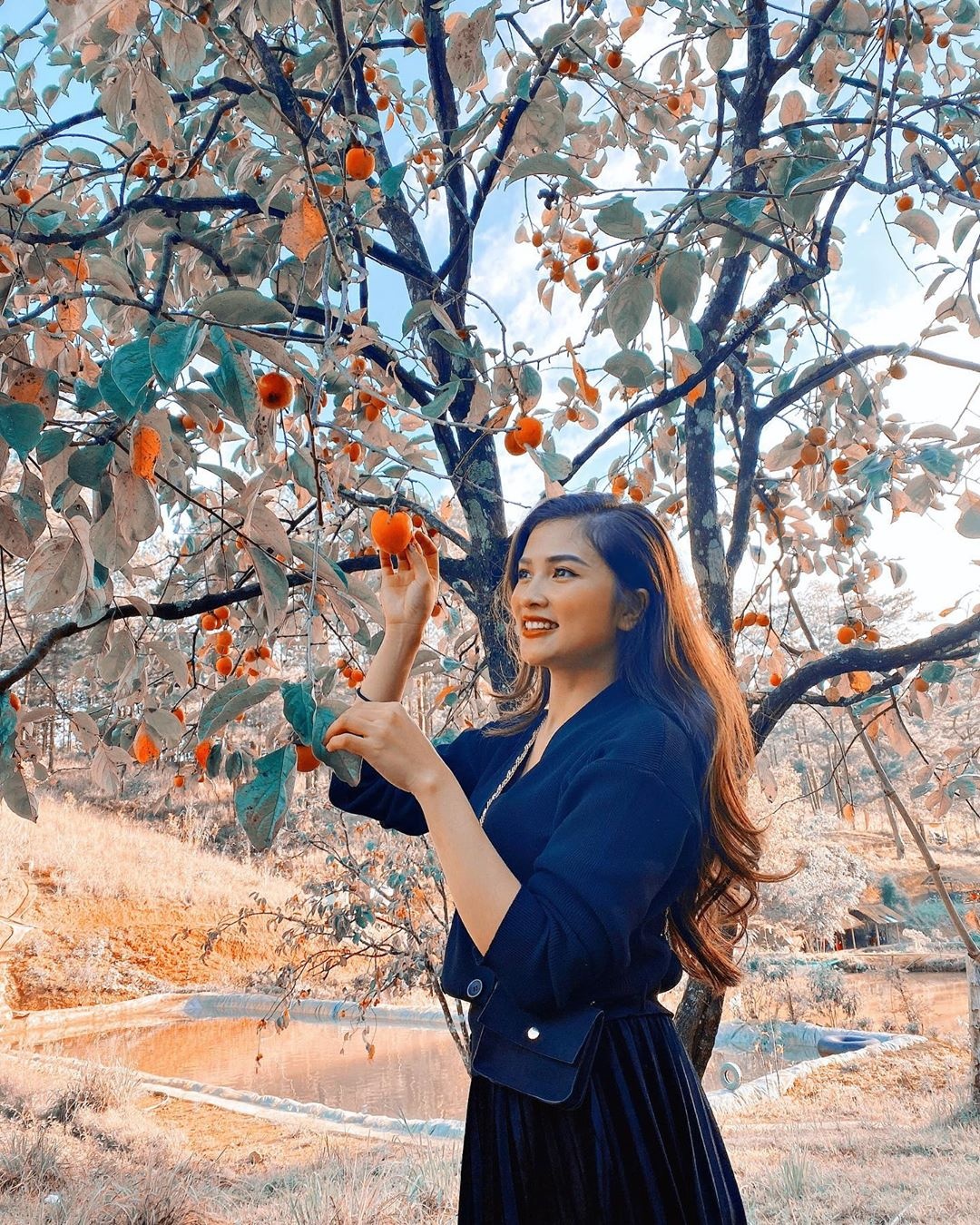 Vuon hong Da Lat anh 6