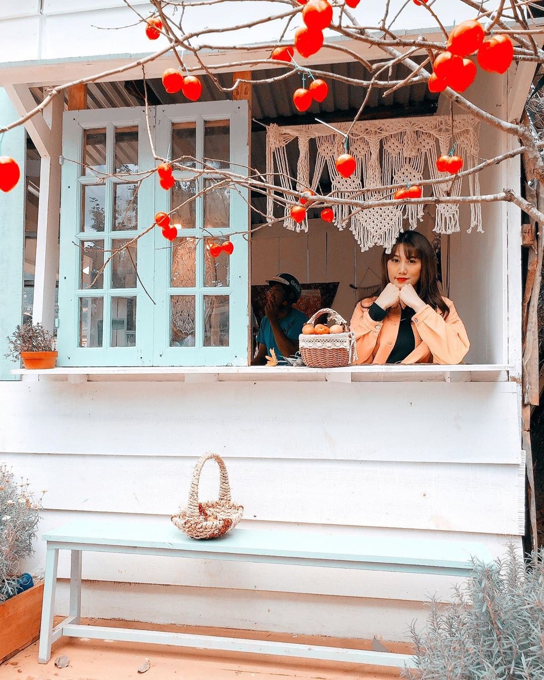 Vuon hong Da Lat anh 8