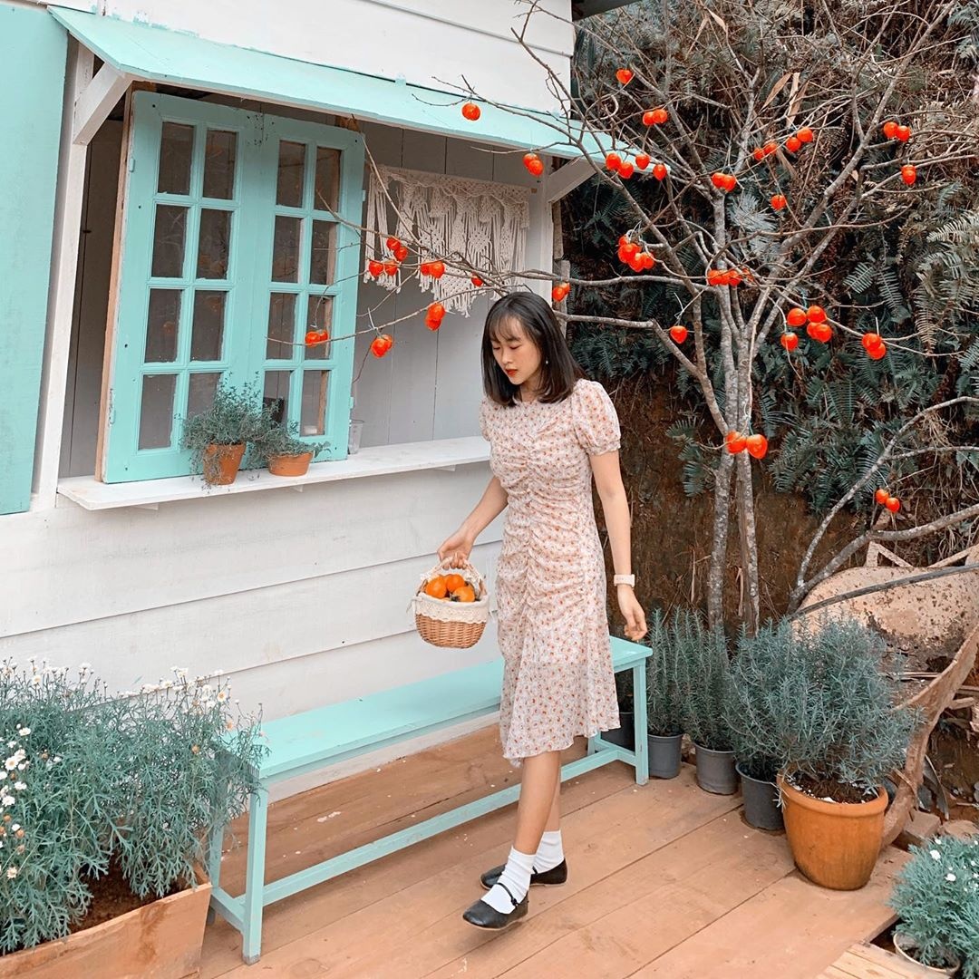 Vuon hong Da Lat anh 9