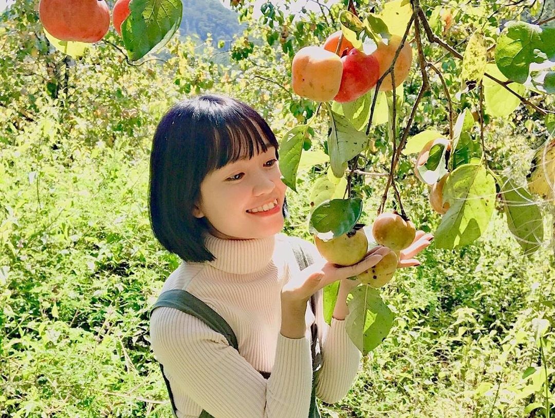 Vuon hong Da Lat anh 7