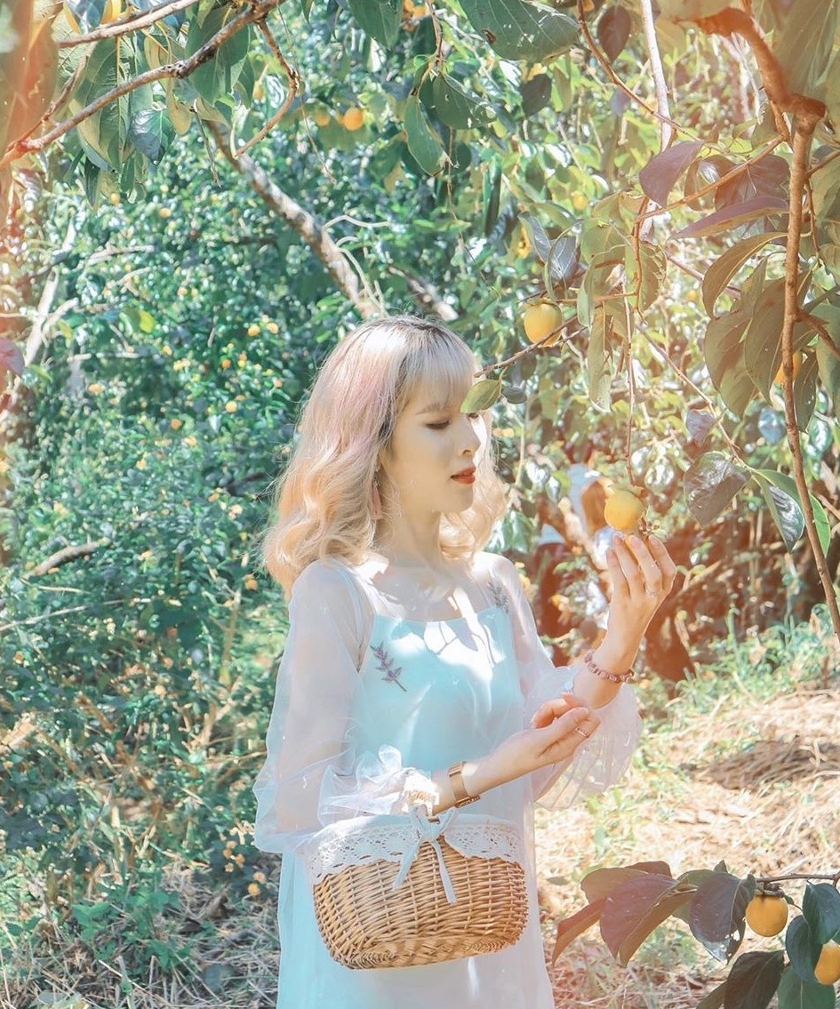 Vuon hong Da Lat anh 11