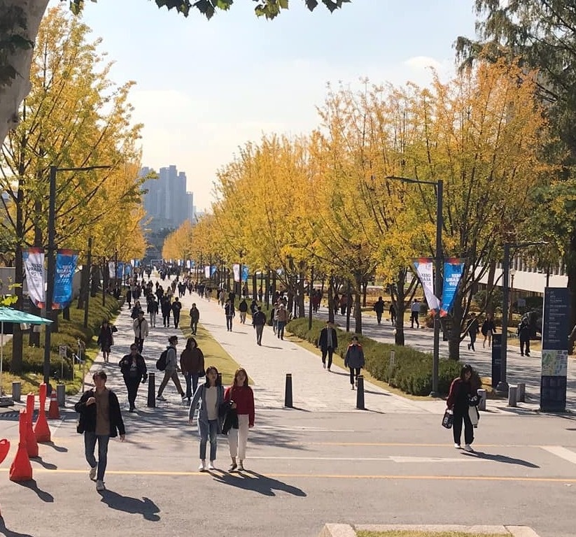 Du lich Han Quoc anh 12