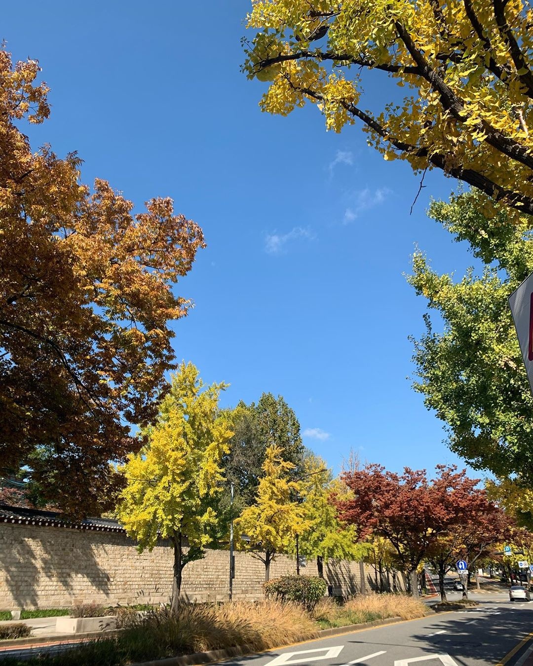 Du lich Han Quoc anh 9