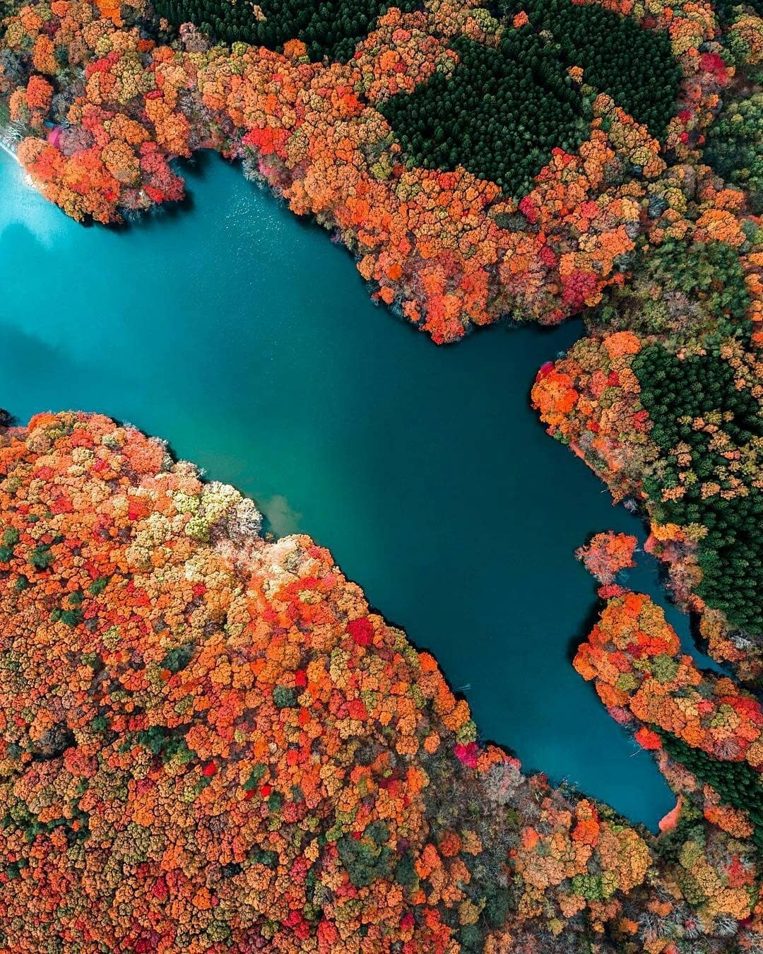 Mua thu Nhat Ban anh 5