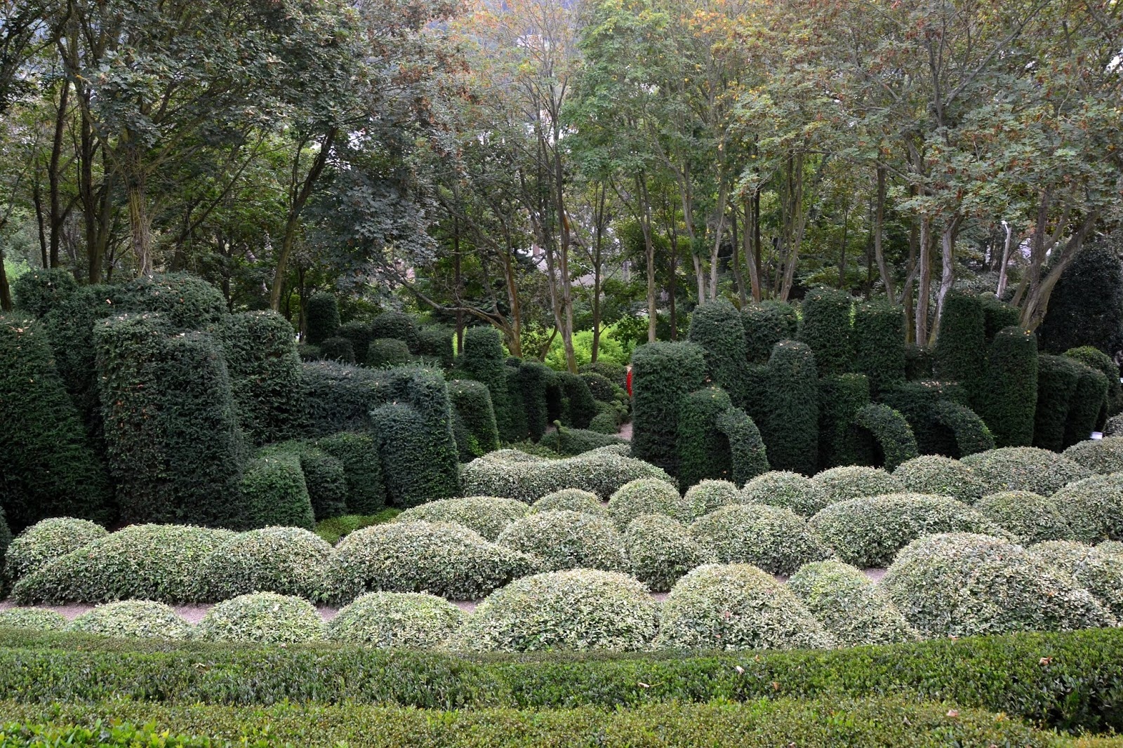 Khu vuon hinh mat nguoi anh 5