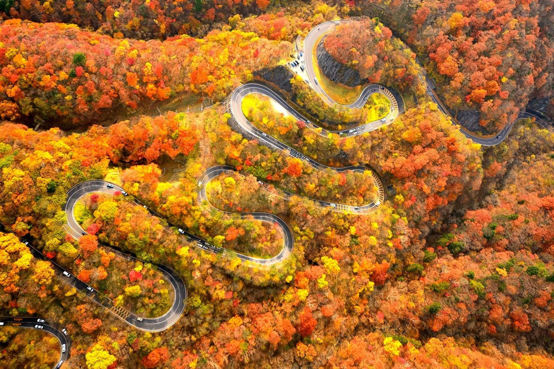 Luon 48 khuc cua mao hiem ngam tien canh mua thu nuoc Nhat hinh anh