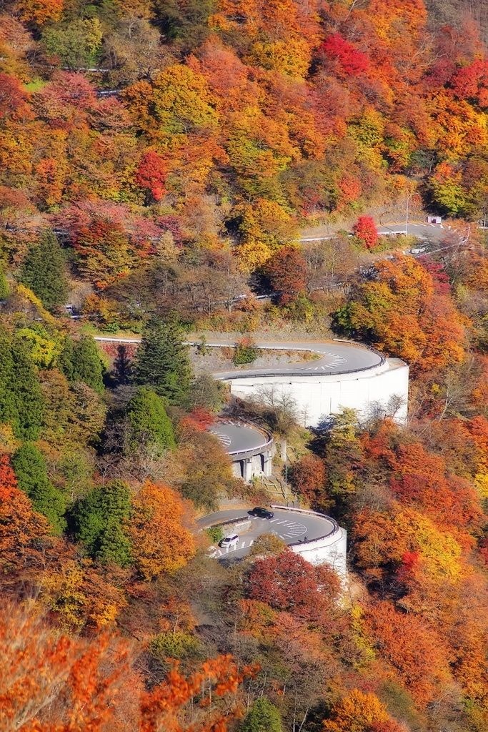 Mua thu Nhat Ban anh 8