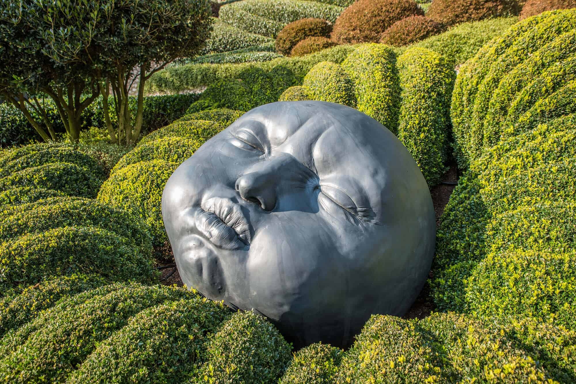 Khu vuon hinh mat nguoi anh 7