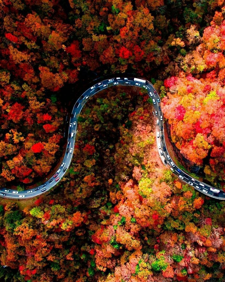 Mua thu Nhat Ban anh 3