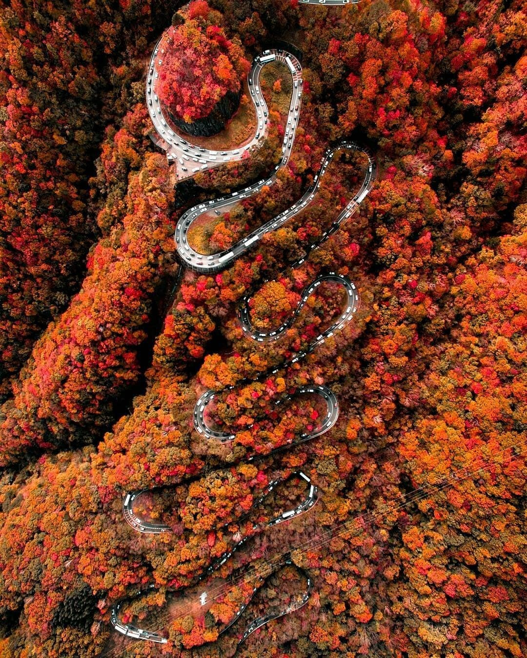 Mua thu Nhat Ban anh 2