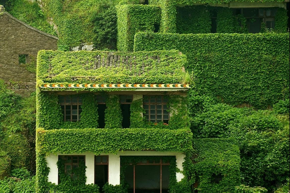 Ngoi lang bo hoang hoa xu so co tich o Trung Quoc hinh anh