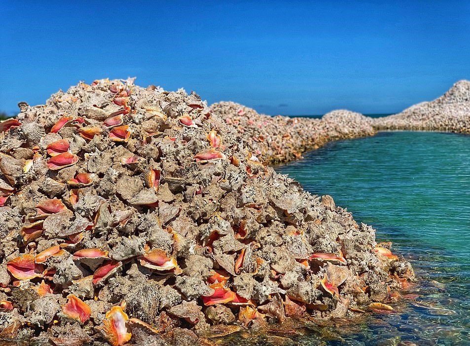 Hon dao vo oc xa cu anh 3