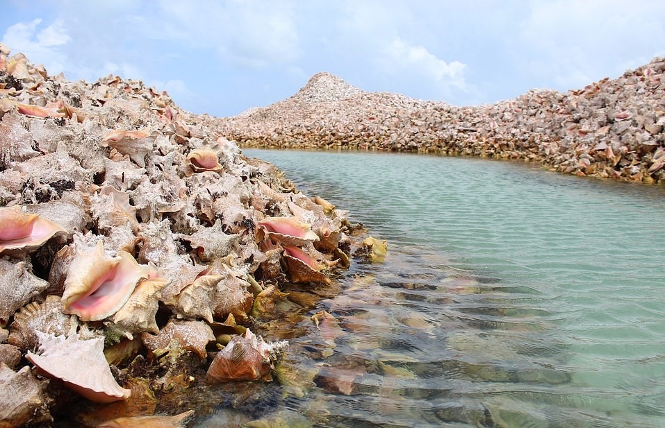 Hon dao vo oc xa cu anh 4