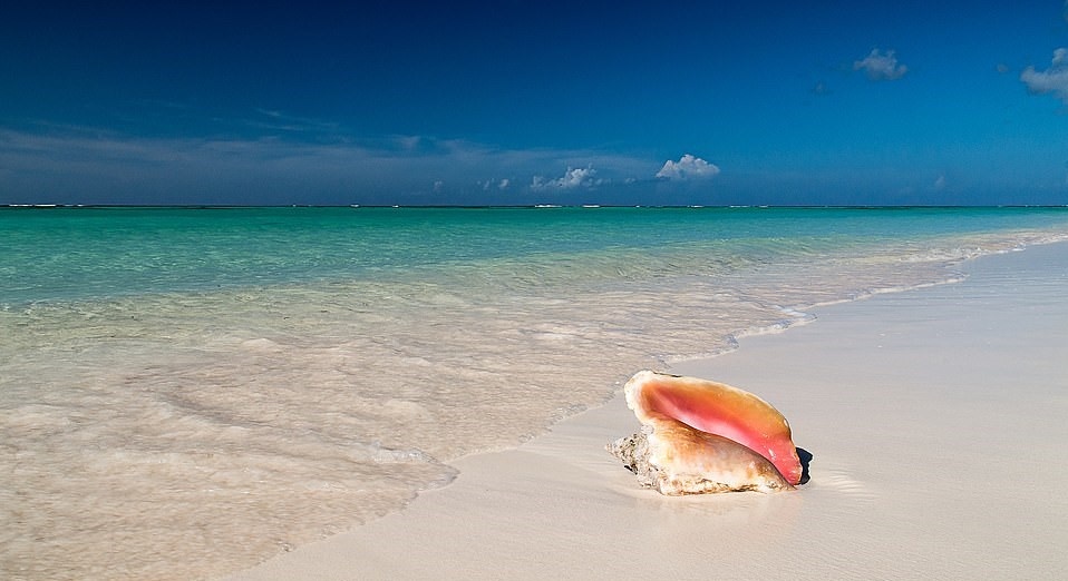 Hon dao vo oc xa cu anh 6