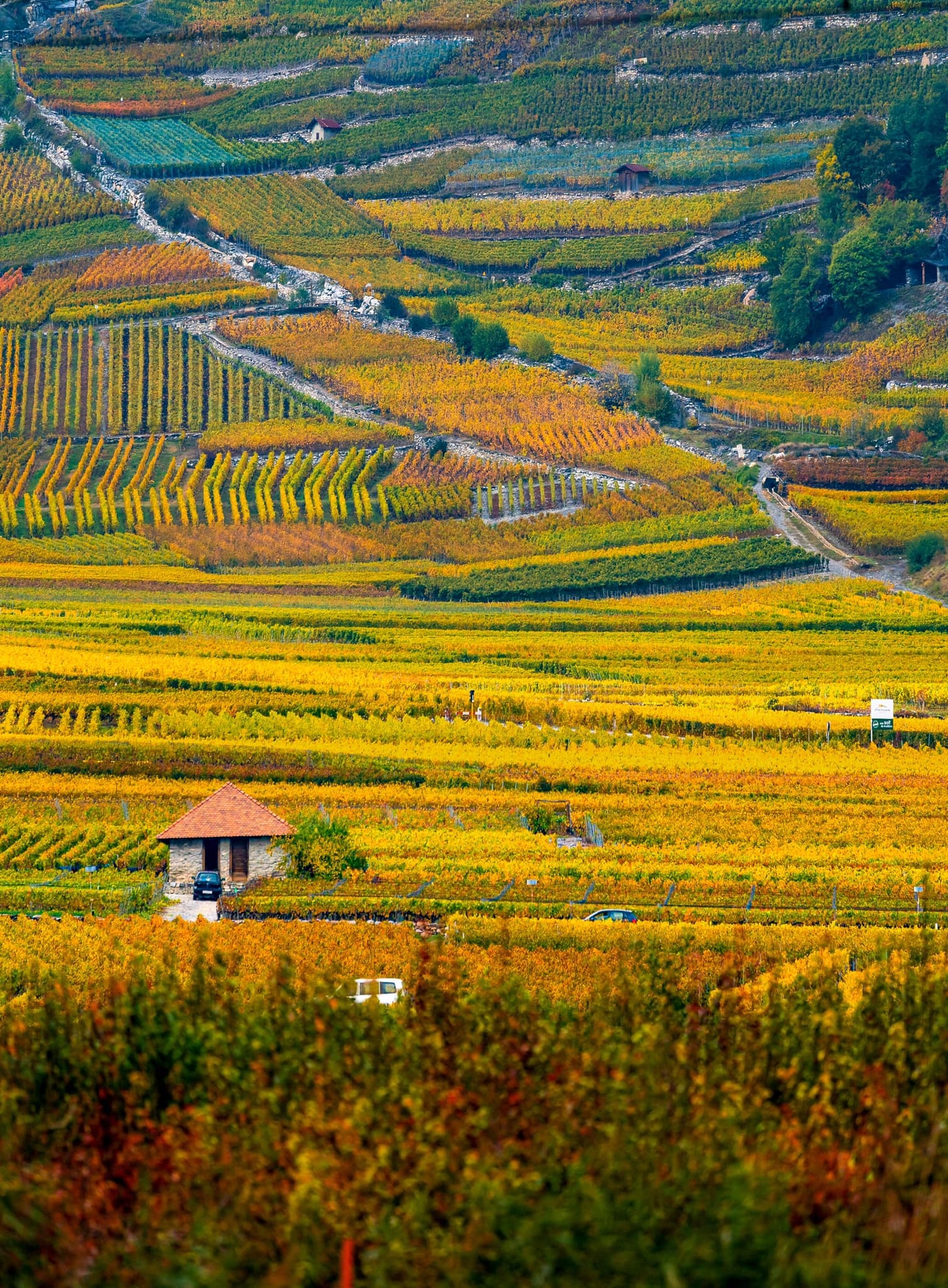 Du lich chau Au anh 3