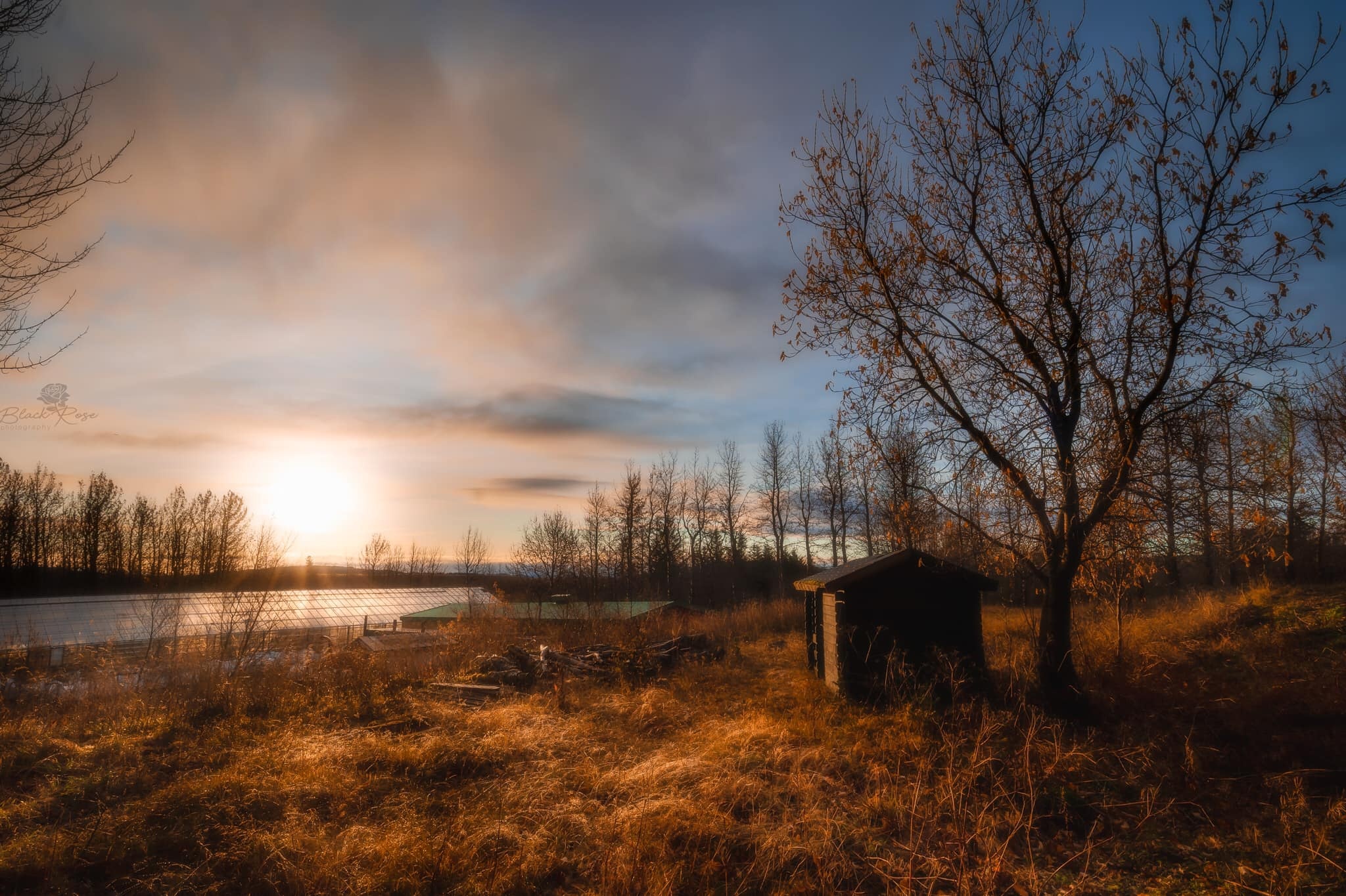 Du lich chau Au anh 10