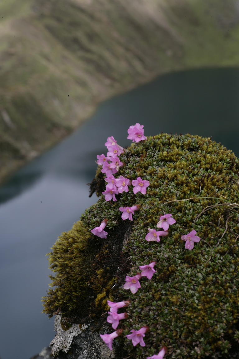 Dat nuoc Bhutan anh 3