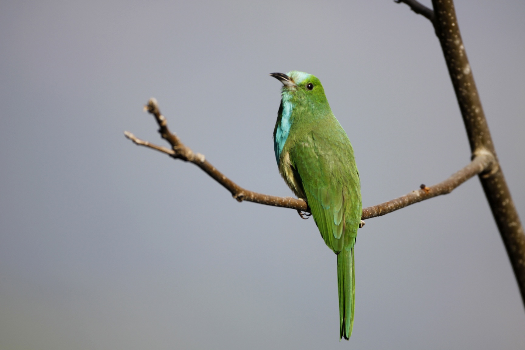 Dat nuoc Bhutan anh 17