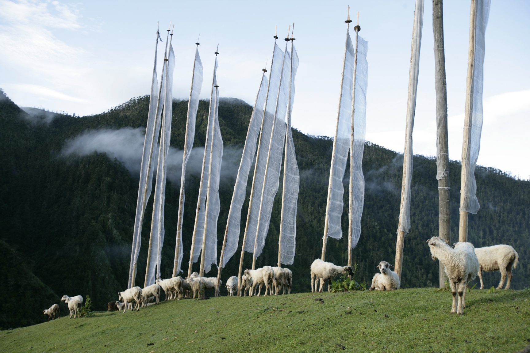 Dat nuoc Bhutan anh 21