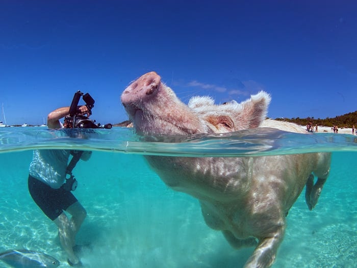 Diem du lich dong khach anh 7