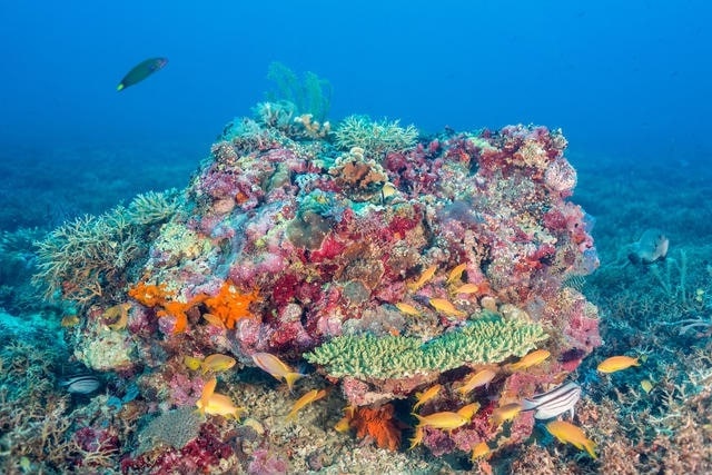 Du lich Philippines anh 22