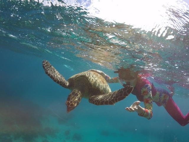 Du lich Philippines anh 21