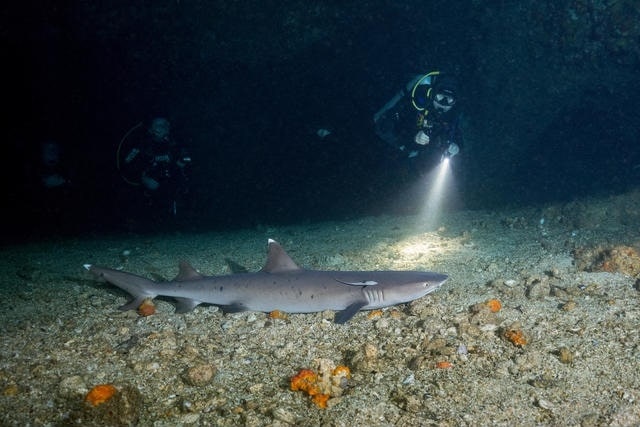 Du lich Philippines anh 29